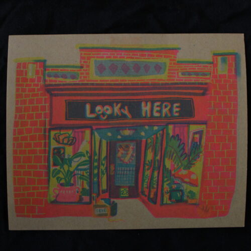 Looky Here (brown)[Postcard]